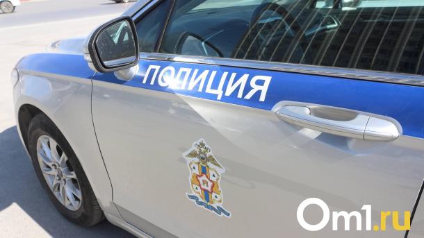 Житель Омской области обстрелял из ружья автомобиль пенсионера