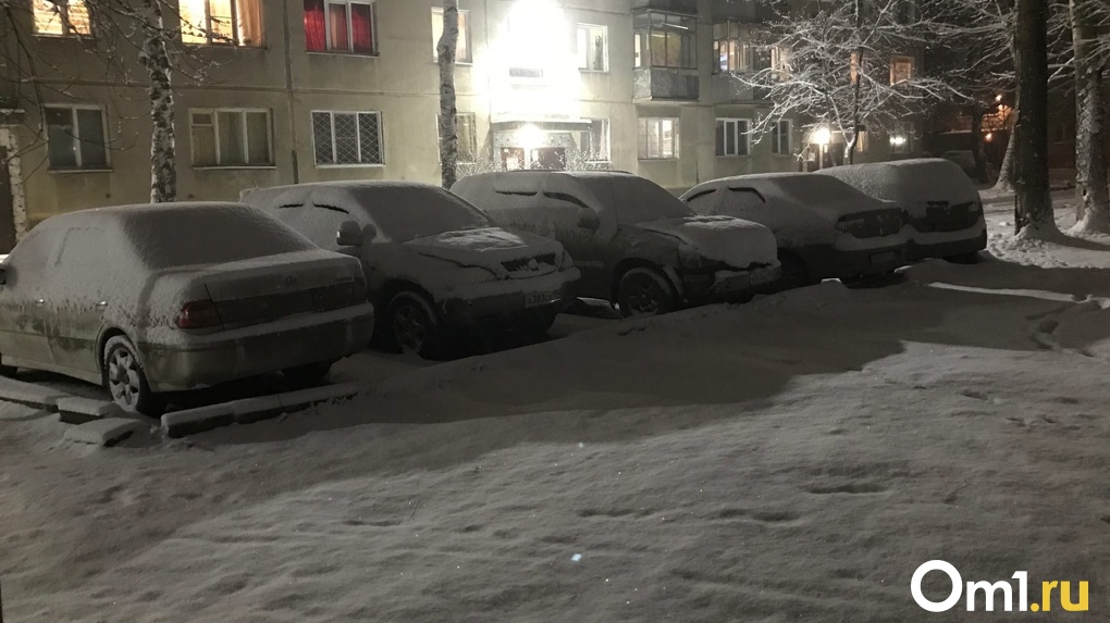 Аномальный снегопад накрыл Новосибирск в пятницу,13-го