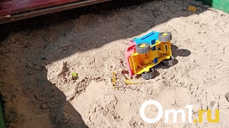 В Омской области 6-летний мальчик сошёл с ума после убийства отца на его глазах