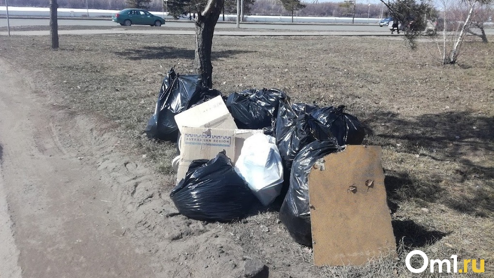 Чиновники пытаются взыскать 120 тысяч рублей с омичей, бросающих мусор где попало
