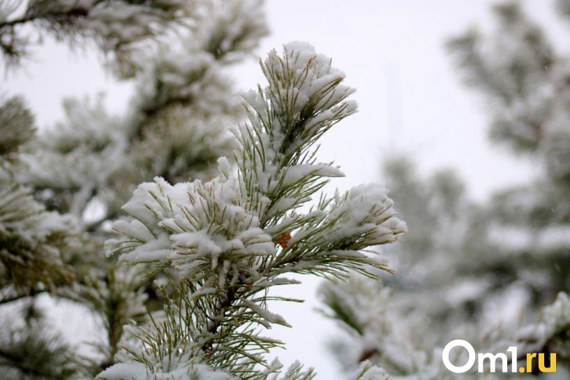 Изображение фоторепортажа