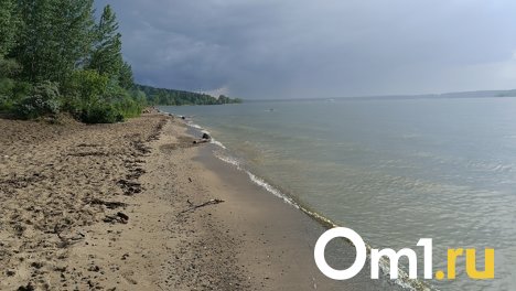 Тело женщины нашли в водоёме в Новосибирске