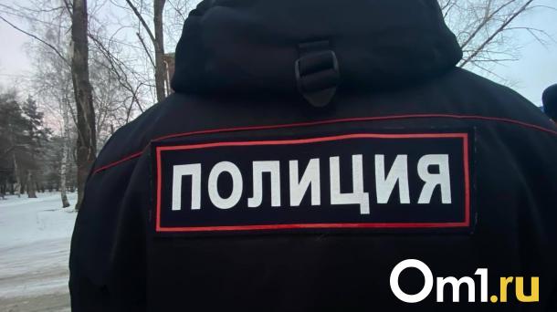В Омске двое иностранцев задержаны за распространение крупных партий наркотиков