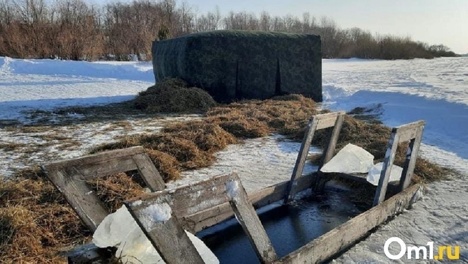 Вышли на допандемийный уровень? 33 купели откроют в Новосибирской области