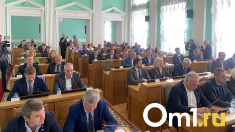 На окраине Омска появится улица с очень подходящим названием