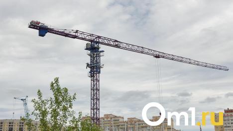 Союз строителей Омской области планирует сместить исполнительного директора