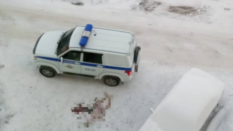 Лежал с утра у всех на глазах: в Новосибирске 33-летний мужчина погиб при падении из окна шестого этажа