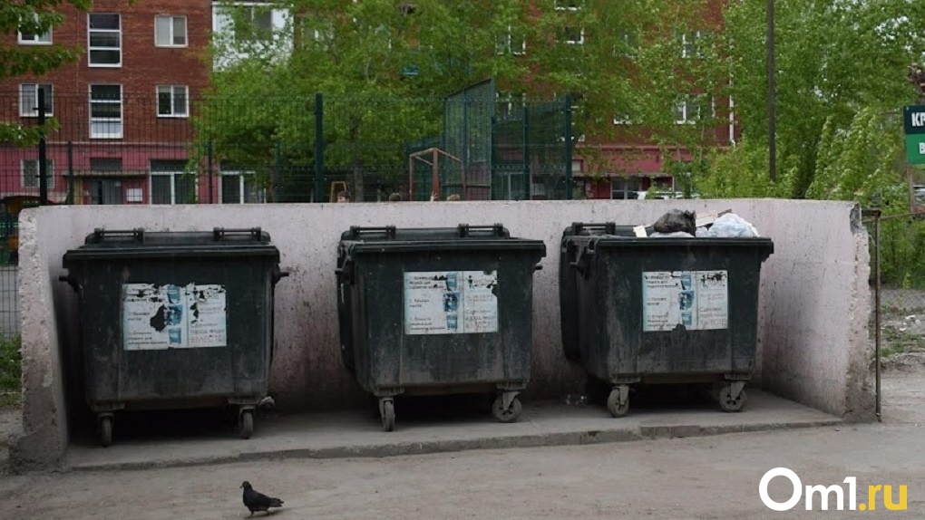 Ситуация с вывозом мусора стабилизировалась в Новосибирске
