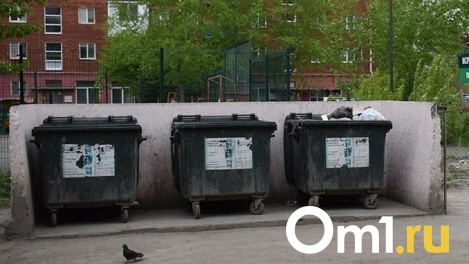 Ситуация с вывозом мусора стабилизировалась в Новосибирске