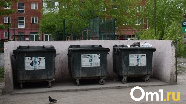 Ситуация с вывозом мусора стабилизировалась в Новосибирске