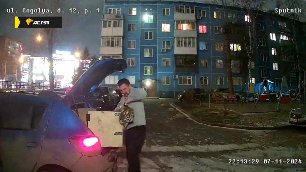 Новосибирец поселил тигра в своей квартире на улице Гоголя