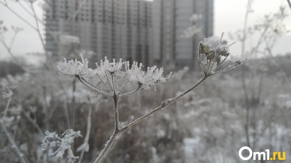 Одевайтесь теплее: в Новосибирск вернутся аномальные морозы