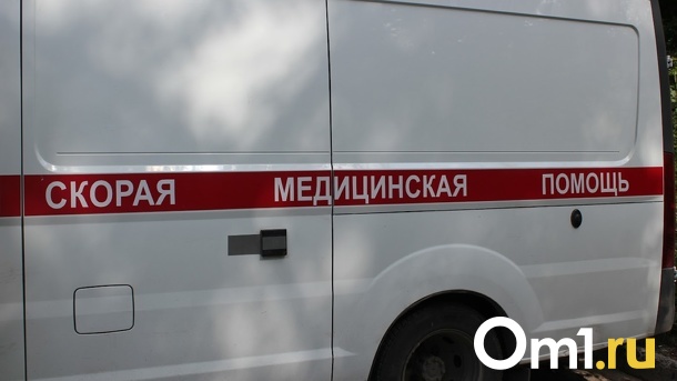 Испытала дикую боль: в Новосибирске школьник сломал позвоночник 12-летней сверстнице