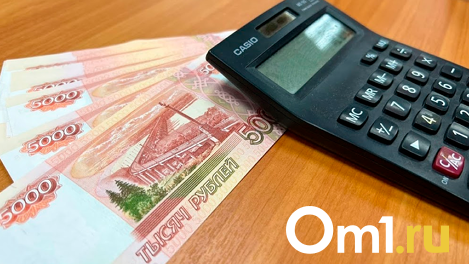 Для Новосибирской области полицейские закупят беспилотники на 24 млн рублей