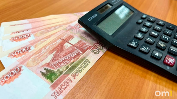 Для Новосибирской области полицейские закупят беспилотники на 24 млн рублей
