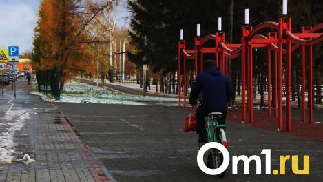 В Омской области зарегистрировано 148 укусов клещей