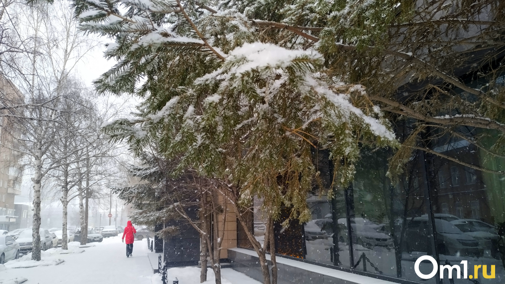 Морозы до -30 градусов сохранятся в Новосибирской области до 7 декабря
