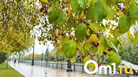 Как справиться с осенней хандрой: 5 простых способов