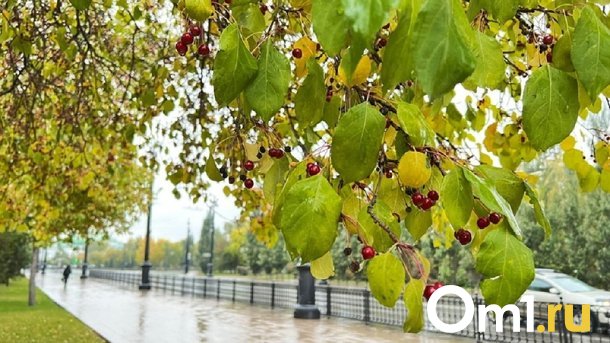 Как справиться с осенней хандрой: 5 простых способов