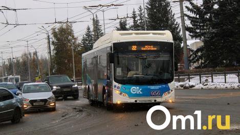 В дептрансе опубликовали график работы автобуса №28 «Поворотная – Площадь Победы»