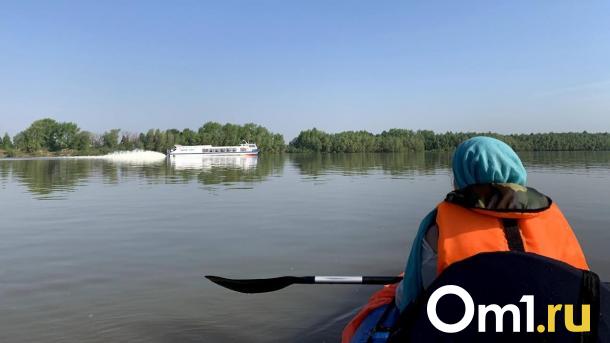 «Заря» не зря. Как нам спасти необычный омский маршрут