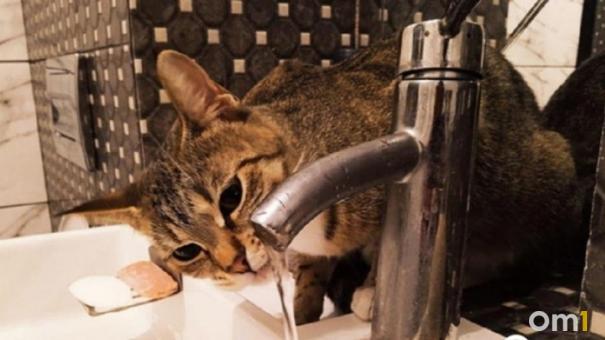 Омичи с Левобережья на две недели останутся без воды