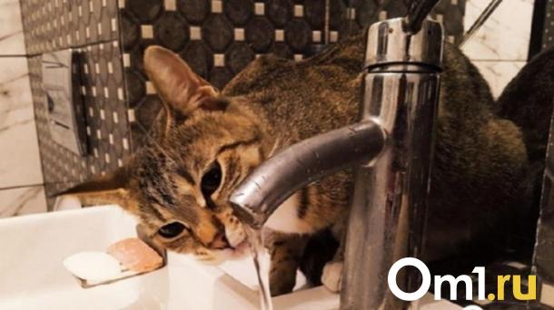 Омичи с Левобережья на две недели останутся без воды