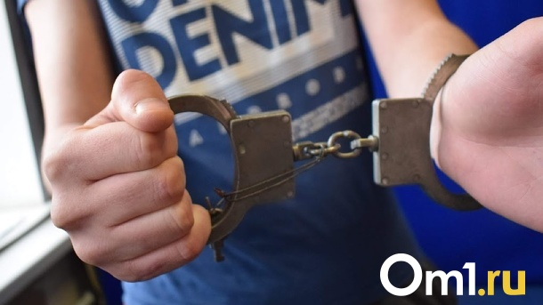 Омский суд вынес приговор бизнесмену, который украл миллиард