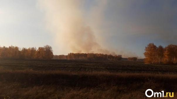 В Омской области ввели режим готовности во время пожароопасного сезона