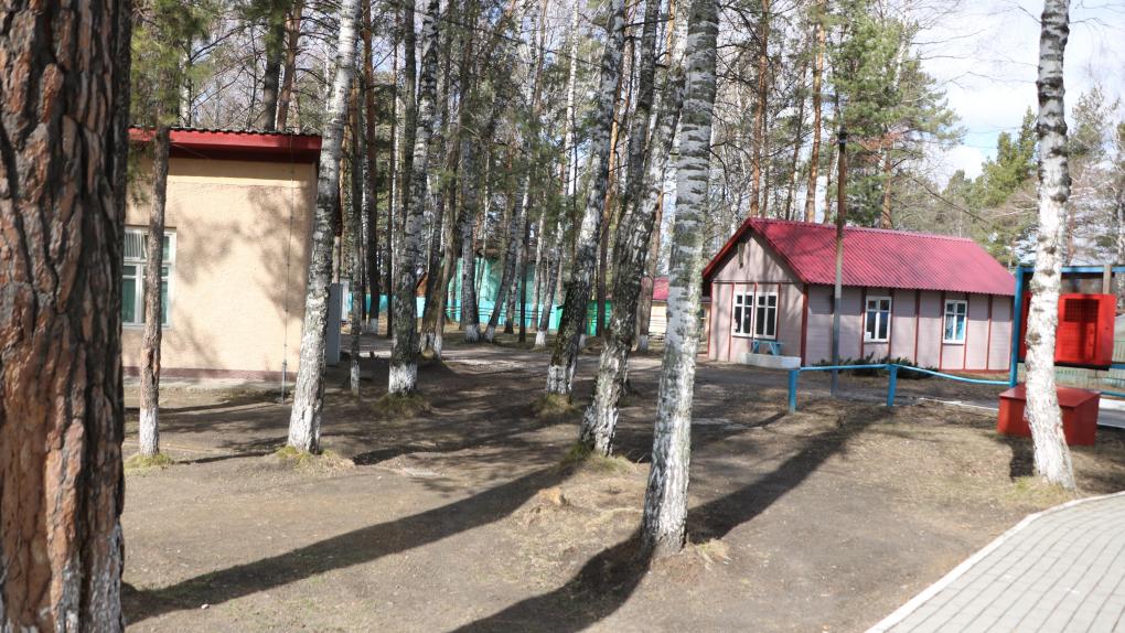 Более 1000 лагерей примут новосибирских школьников этим летом