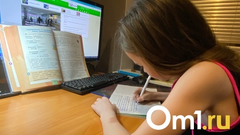 Учим детей сами. В пандемию спрос на репетиторов в Омске резко взлетел