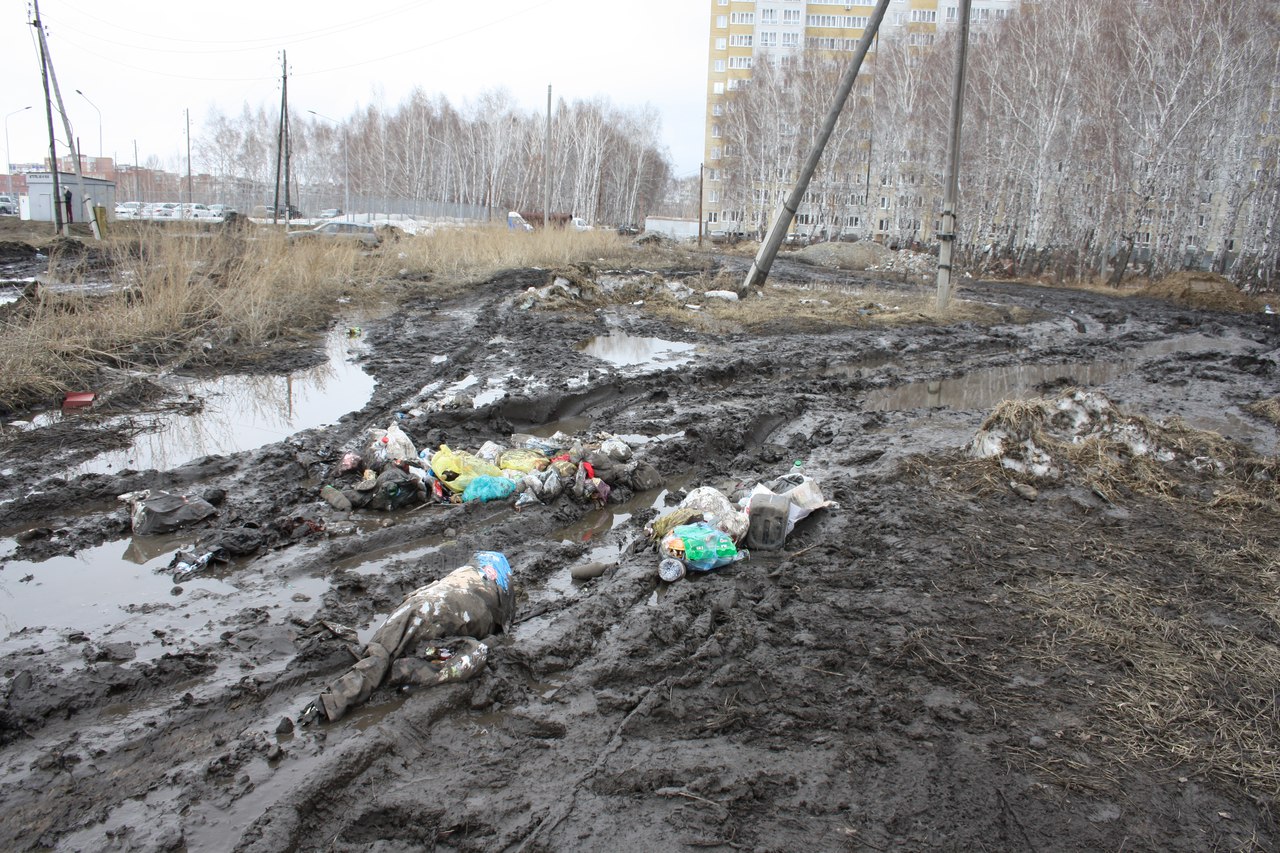Омск грязный город