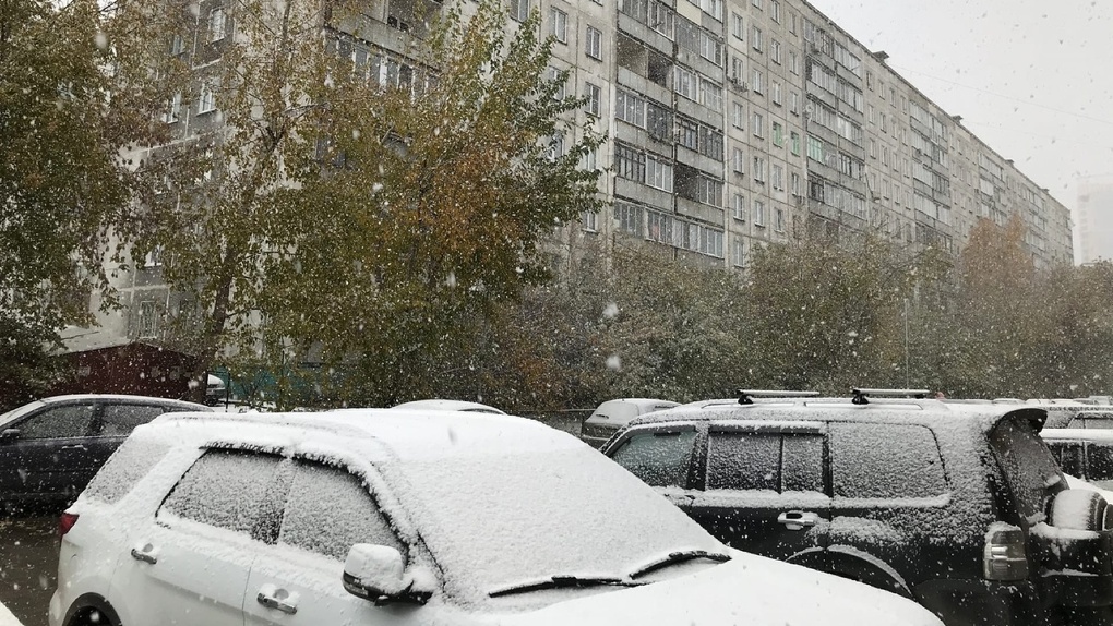 Мокрый снег и резкое похолодание: какая погода ждёт новосибирцев на выходных?