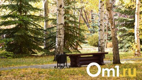 Лето – всё. В Омской области начинается похолодание