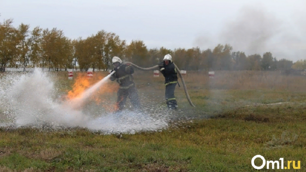 Из-за дефицита осадков Омской области угрожают природные пожары