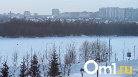 Косули проникли в самое сердце Омска