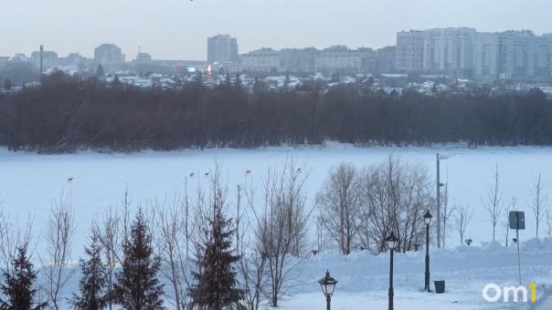 Косули проникли в самое сердце Омска