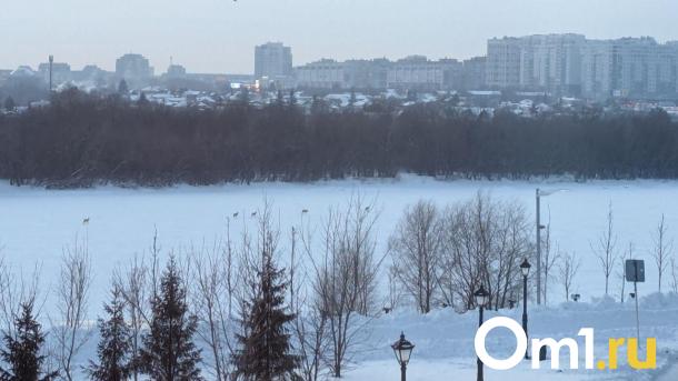 Косули проникли в самое сердце Омска