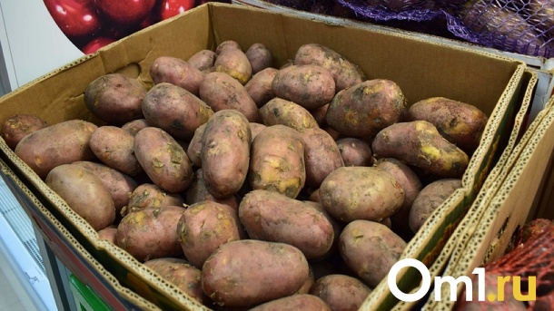 Раскупят к 1 мая? Ажиотажный спрос на картофель зафиксировали в Новосибирске