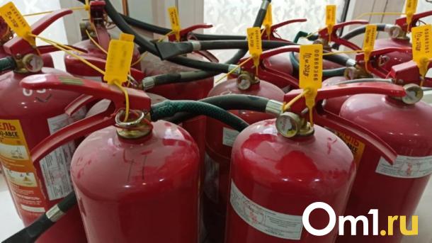 В Новосибирске сожгли дом руководителя образовательной организации