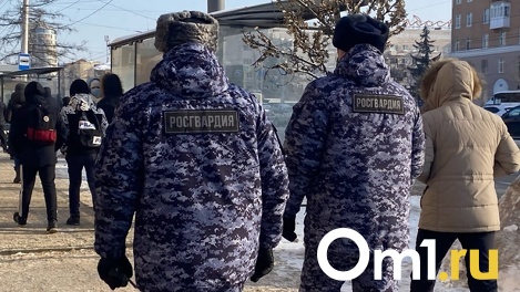 Омские росгвардейцы отыскали и вернули матери потерявшегося ребёнка