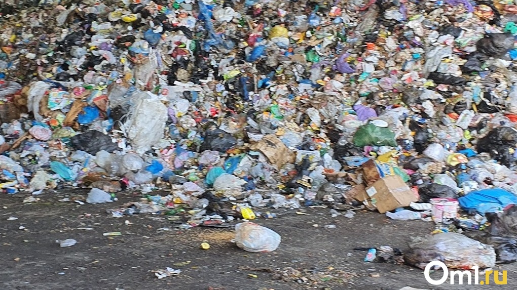 Омск получит 2 миллиарда на борьбу с мусором