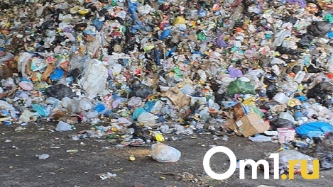 Омск получит 2 миллиарда на борьбу с мусором