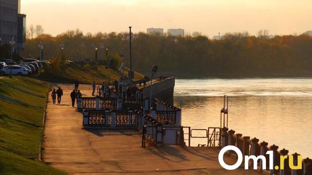 Заморозки в Омской области сохранятся и в июне