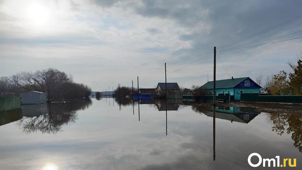 Воды будет ещё больше: на севере Омской области затоплены дороги и 317 домов