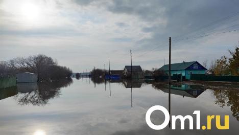 Воды будет ещё больше: на севере Омской области затоплены дороги и 317 домов
