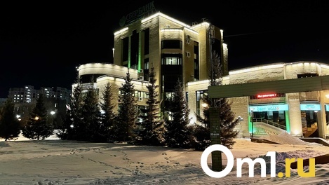 В центре Омска продают дом за 188 миллионов рублей