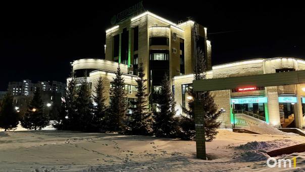 В центре Омска продают дом за 188 миллионов рублей