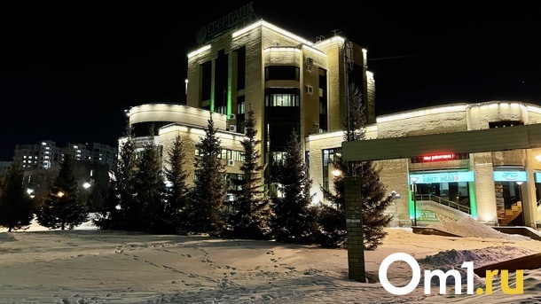 В центре Омска продают дом за 188 миллионов рублей