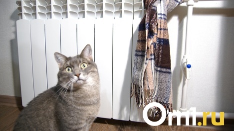 Более 40 домов в Новосибирске остались без тепла из-за ремонта полувековой трубы